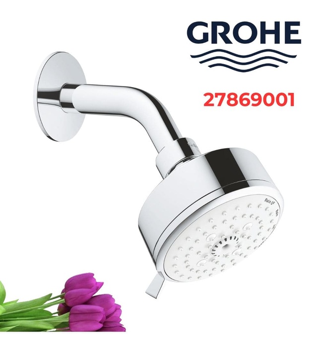 Bát Sen Tắm Gắn Tường Đức Grohe 27869001