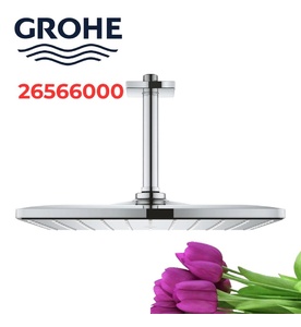 Bát Sen Tắm Gắn Trần Đức Grohe 26566000