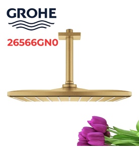 Bát Sen Tắm Gắn Trần Đức Grohe 26566GN0