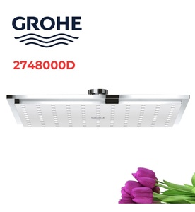 Bát Sen Tắm Gắn Trần Đức Grohe 2748000D