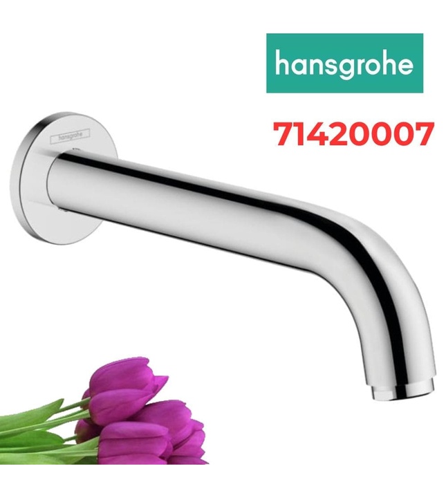Vòi Nước Gắn Tường Đức Hansgrohe 71420677
