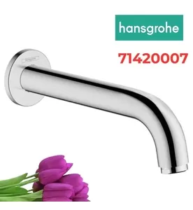 Vòi Nước Gắn Tường Đức Hansgrohe 71420677