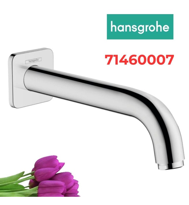 Vòi Nước Gắn Tường Đức Hansgrohe 71460007