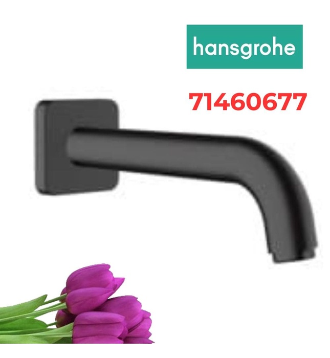 Vòi Nước Gắn Tường Đức Hansgrohe 71460677