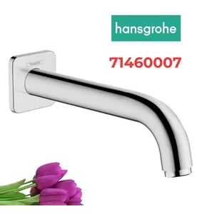 Vòi Nước Gắn Tường Đức Hansgrohe 71460007