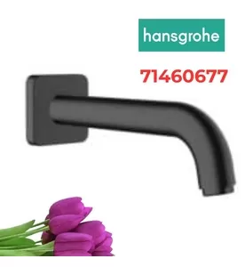 Vòi Nước Gắn Tường Đức Hansgrohe 71460677