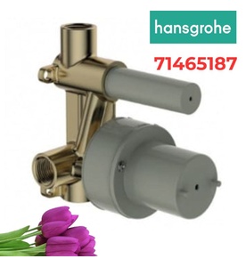 Bộ Âm Tường Sen Tắm Hansgrohe 71465187
