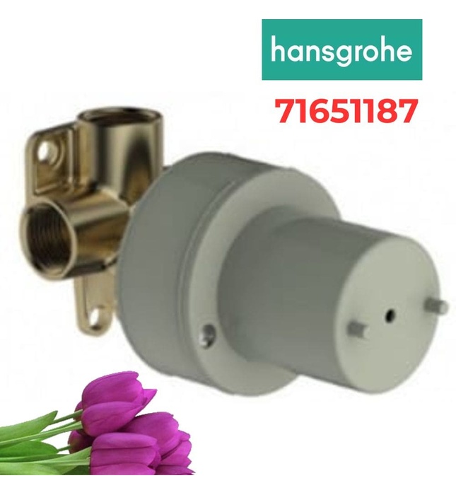 Bộ Âm Tường Sen Tắm Hansgrohe 71651187