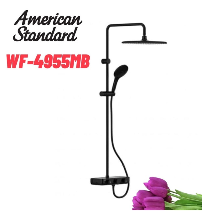 Sen Cây Nhiệt Độ American Standard WF-4955MB EasySET Màu Đen