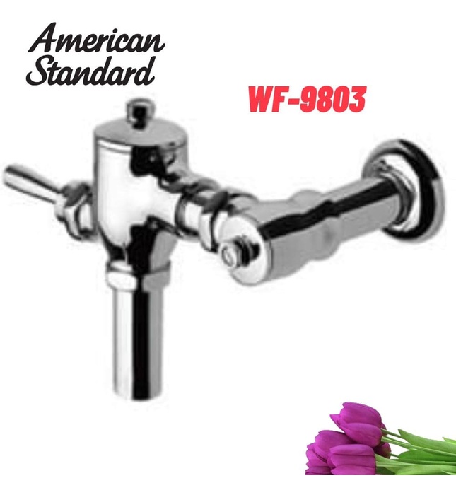 Van xả bàn cầu cần gạt American Standard WF-9803