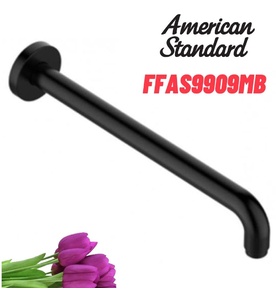 Thanh Nối Đầu Sen American Standard FFAS9909MB 