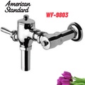 Van xả bàn cầu cần gạt American Standard WF-9803