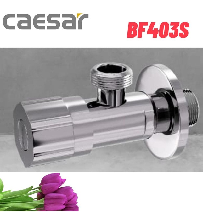 Van Khống Chế Nước Caesar BF403S 