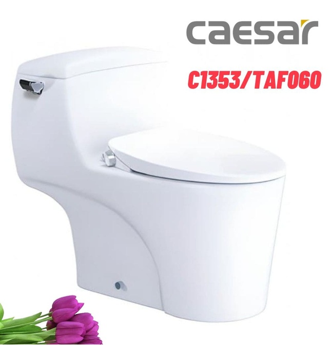 Bồn cầu 1 khối nắp rửa cơ Caesar C1353F+TAF060