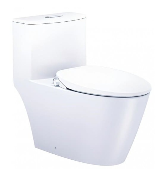 Bồn cầu 1 khối nắp rửa cơ Caesar C1363F+TAF060