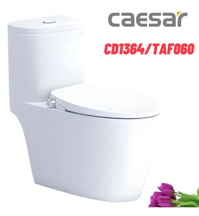 Bồn cầu 1 khối nắp rửa cơ Caesar C1364F+TAF060