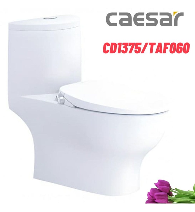 Bồn cầu 1 khối nắp rửa cơ Caesar CD1375/TAF060