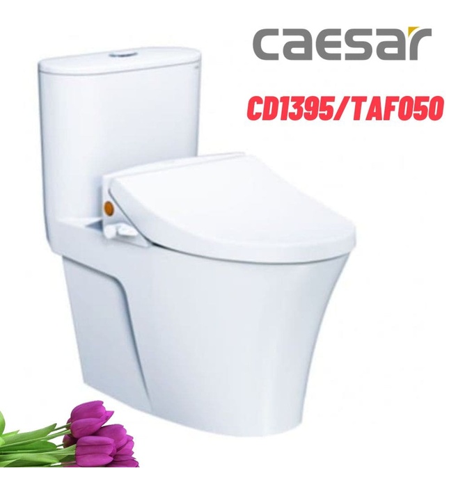 Bồn cầu 1 khối nắp rửa cơ Caesar CD1395/TAF050