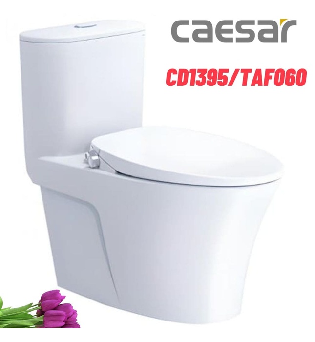 Bồn cầu 1 khối nắp rửa cơ Caesar C1395F+TAF060