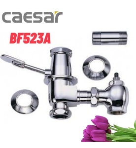 Van xả bồn cầu xổm Caesar BF523A