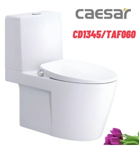 Bồn cầu 2 khối nắp rửa cơ Caesar CD1345/TAF060