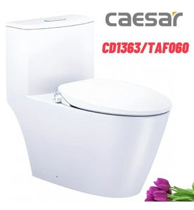 Bồn cầu 1 khối nắp rửa cơ Caesar CD1363/TAF060