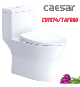 Bồn cầu 1 khối nắp rửa cơ Caesar CD1374/TAF060