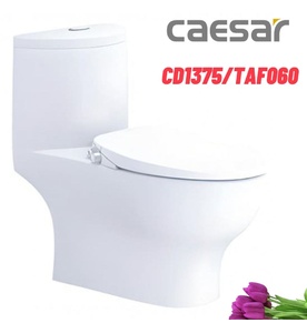 Bồn cầu 1 khối nắp rửa cơ Caesar CD1375/TAF060
