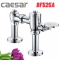 Van xả đạp bồn cầu xổm Caesar BF525A