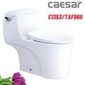 Bồn cầu 1 khối nắp rửa cơ Caesar C1353F+TAF060