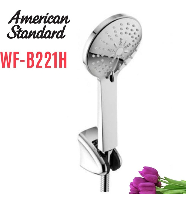 Bộ dây bát sen tắm American Standard WF-B221H