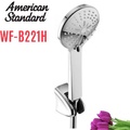 Bộ dây bát sen tắm American Standard WF-B221H