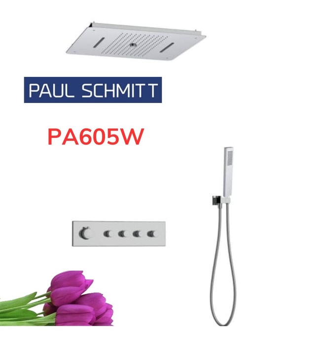 Sen Tắm Âm Tường Paulschmitt PA605W