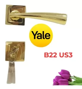 Tay Nắm Gạt Yale B22 US3 Vàng Bóng