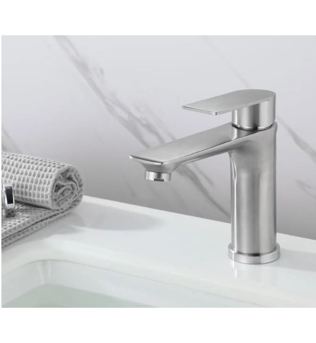 Vòi chậu rửa mặt Clean Max 541291CR