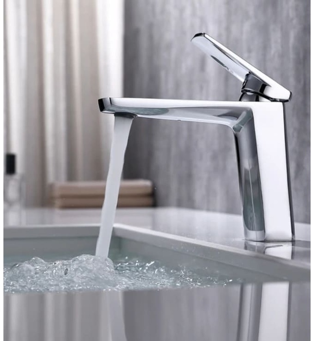 Vòi chậu rửa mặt Clean Max RL51425