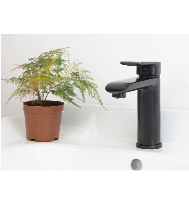 Vòi chậu rửa mặt màu đen Clean Max RL61128