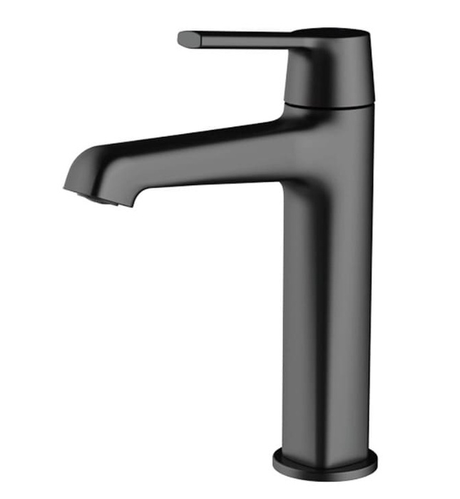 Vòi chậu rửa mặt màu đen Clean Max V655