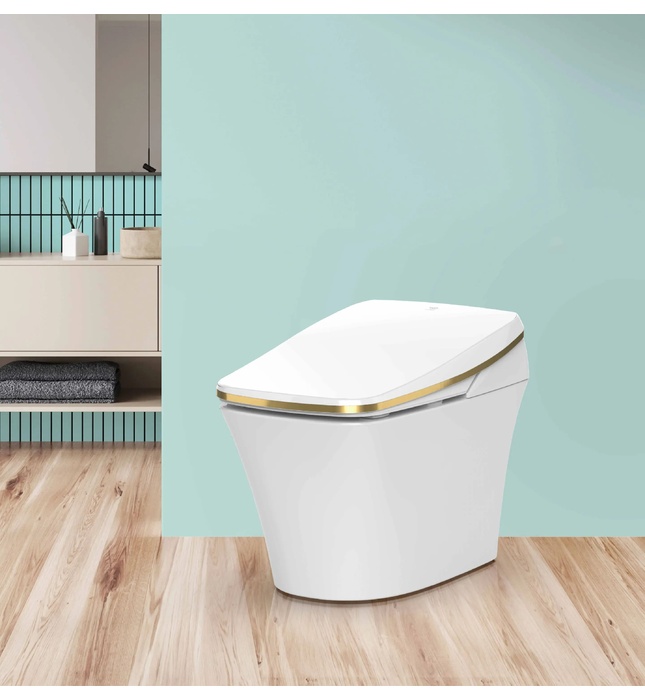 Bàn cầu thông minh Hàn Quốc Vovo TCB-9100G