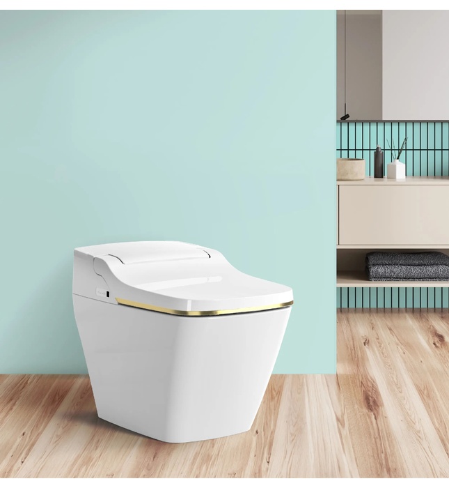 Bàn cầu thông minh Hàn Quốc Vovo TCB-9100G1