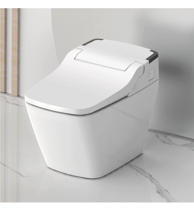 Bàn cầu thông minh Hàn Quốc Vovo TCB-090S