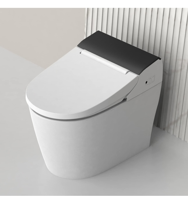 Bàn cầu thông minh Hàn Quốc Vovo TCB-8100BP