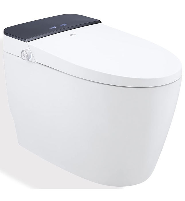 Bàn cầu thông minh Hàn Quốc Vovo TCB-8100BP