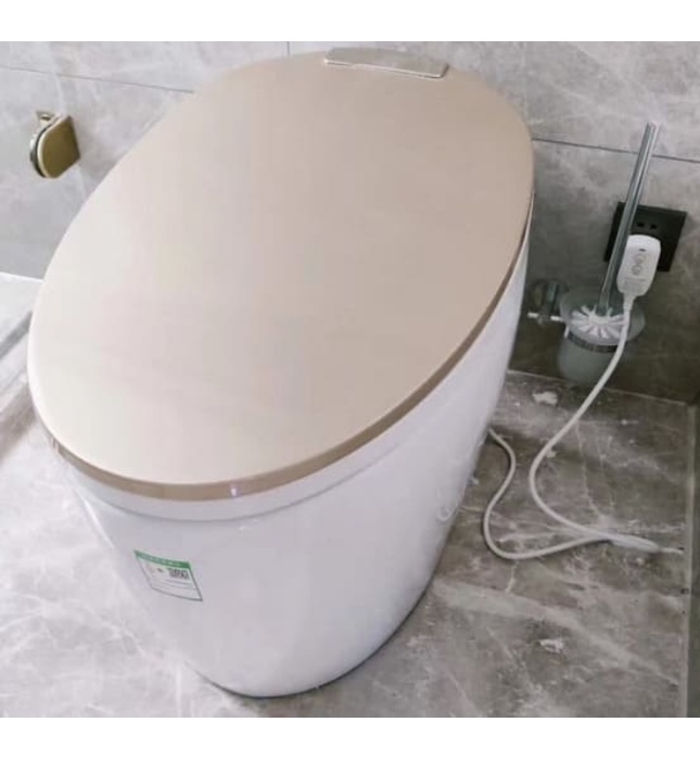 Bồn Cầu Điện Tử CleanMax ECS989VT