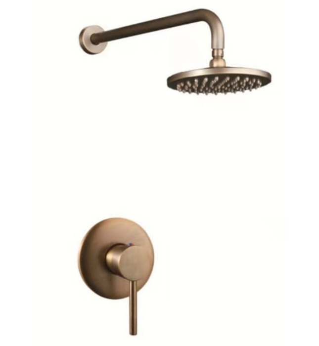 Sen Tắm Âm Tường Tân Cổ Điển Massage CleanMax 101CD 