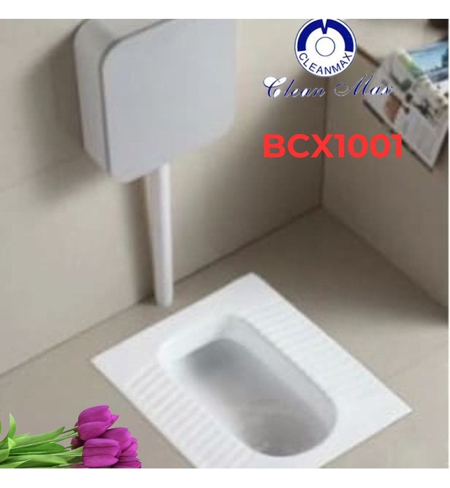 Bồn Cầu Xổm CleanMax BCX1001