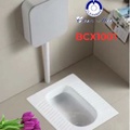 Bồn Cầu Xổm CleanMax BCX1001