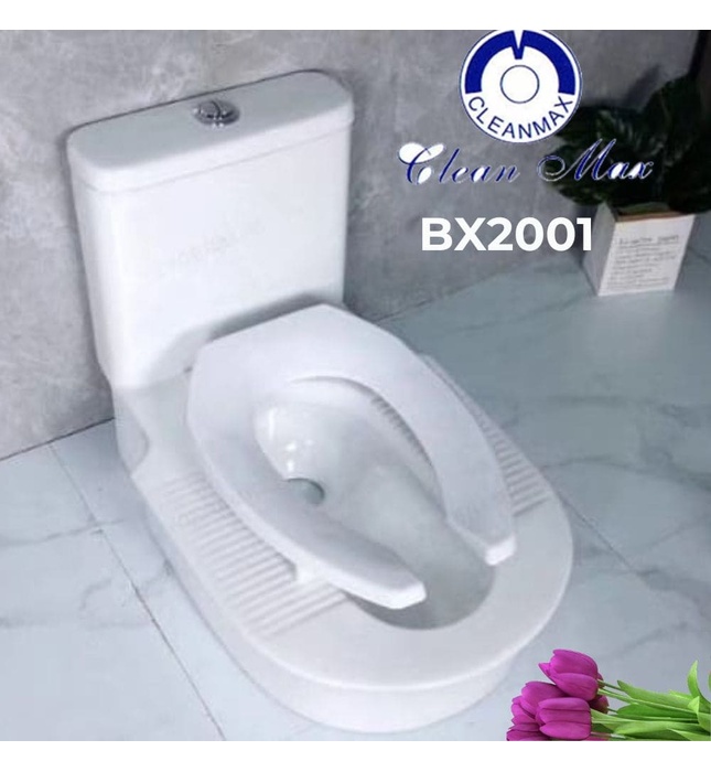 Bồn Cầu Xổm Liền Khối CleanMax BX2001