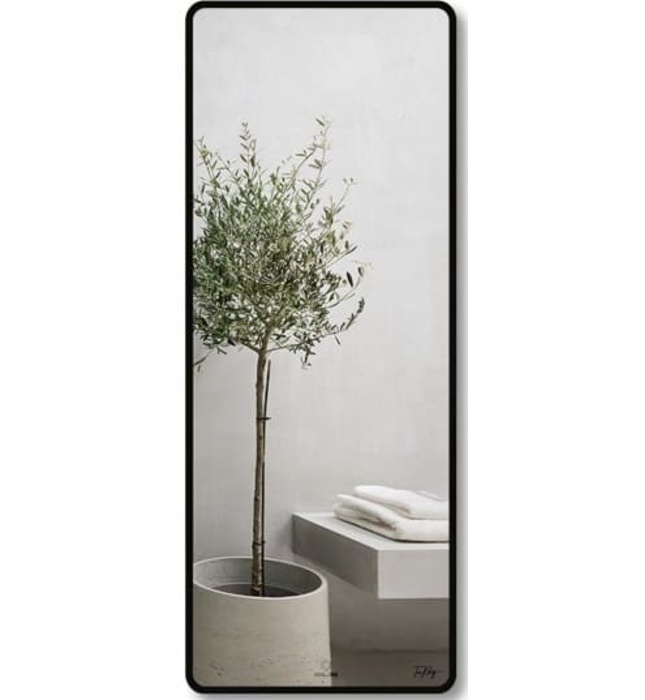 Gương Viền Nhôm Nâu Body Toàn Thân 60x160cm GLS F14R70