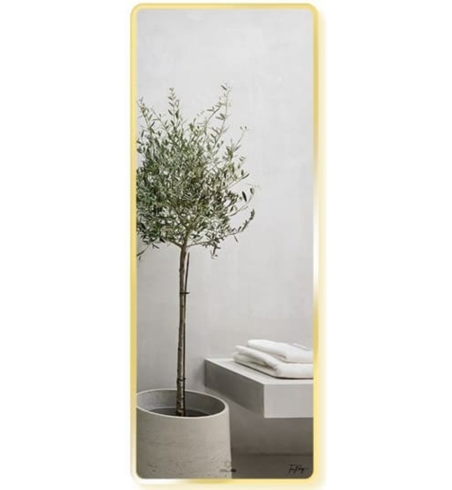 Gương Viền Nhôm Nâu Body Toàn Thân 60x160cm GLS F14R70